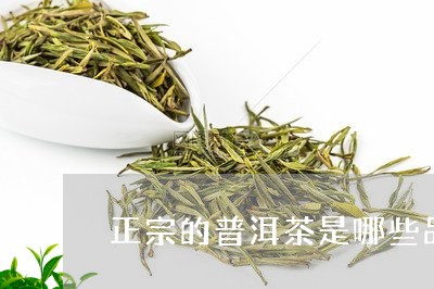 正宗的普洱茶是哪些品牌/2023103196250