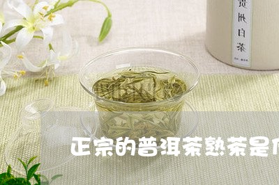 正宗的普洱茶熟茶是什么/2023110787593