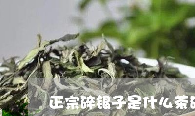 正宗碎银子是什么茶碎银子是茶膏吗/2023060481693