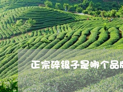 正宗碎银子是哪个品牌的茶叶/2023052781704