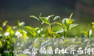 正宗福鼎白牡丹茶饼图片/2023102679693