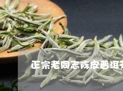 正宗老同志陈皮普洱茶/2023120683804