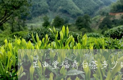 正山堂福鼎白茶多少钱/2023120708470