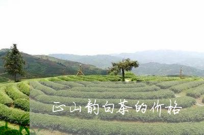 正山韵白茶的价格/2023062259404