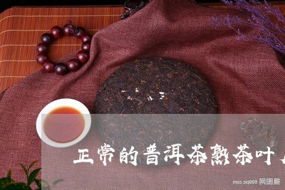 正常的普洱茶熟茶叶底/2023112759370