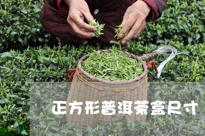 正方形普洱茶盒尺寸/2023081626471