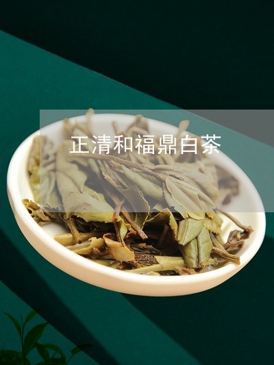 正清和福鼎白茶/2023060195848