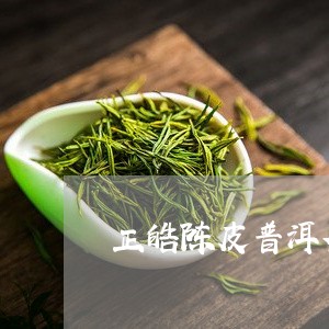 正皓陈皮普洱茶/2023102654937