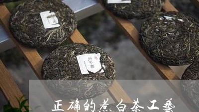 正确的煮白茶工艺/2023062215359