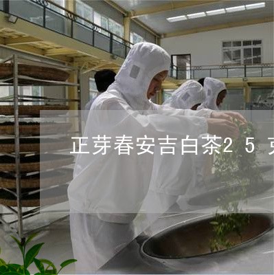 正芽春安吉白茶25克/2023092787463