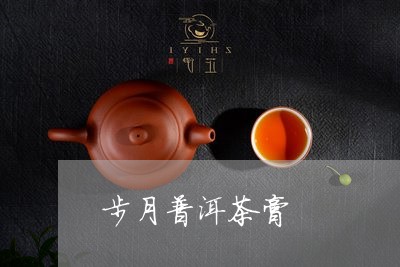 步月普洱茶膏/2023042579022