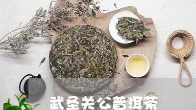 武圣关公普洱茶/2023102645028