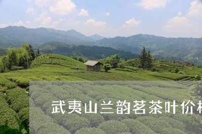 武夷山兰韵茗茶叶价格/2023061037370