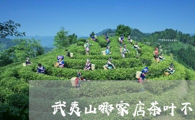 武夷山哪家店茶叶不错/2023092329460