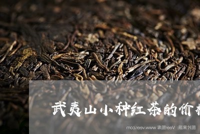 武夷山小种红茶的价格/2023071508382