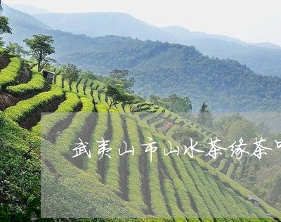 武夷山市山水茶缘茶叶/2023061168381