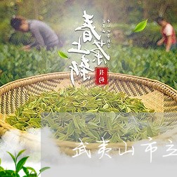 武夷山市立生名茶中心/2023092094059