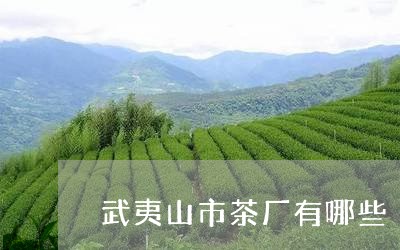 武夷山市茶厂有哪些/2023042238360