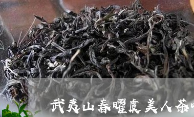 武夷山春曜虞美人茶叶/2023092372813