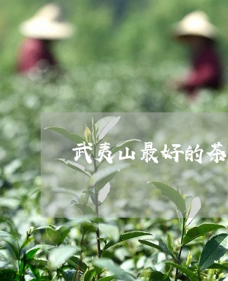 武夷山最好的茶叶多少钱一斤/2023052664816