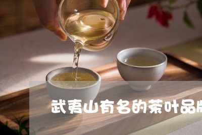 武夷山有名的茶叶品牌/2023092346294