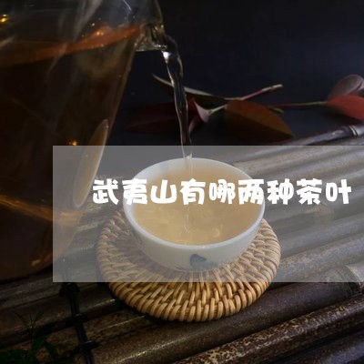 武夷山有哪两种茶叶/2023042586059