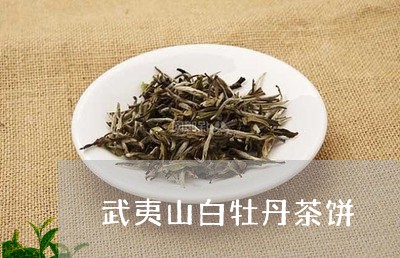 武夷山白牡丹茶饼/2023062224058