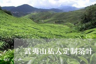 武夷山私人定制茶叶/2023041851696