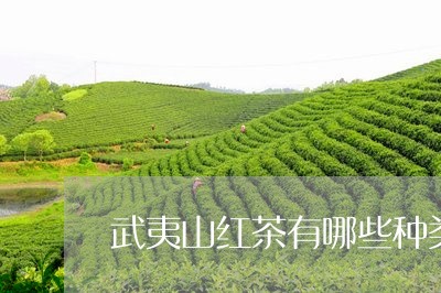 武夷山红茶有哪些种类/2023071404037