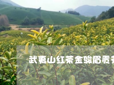 武夷山红茶金骏眉贡茶/2023120859696