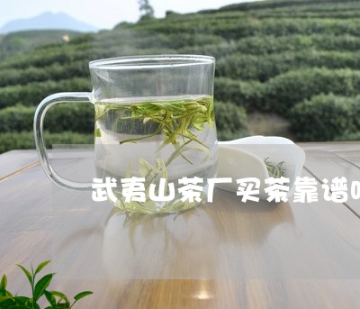 武夷山茶厂买茶靠谱吗/2023071587462