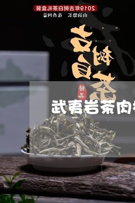 武夷岩茶肉桂与普洱茶/2023080341505