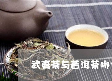 武夷茶与普洱茶哪个好/2023062323871