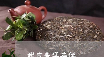 武威普洱茶饼/2023042740099