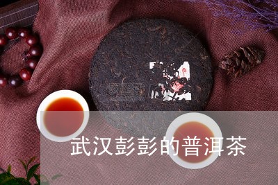 武汉彭彭的普洱茶/2023120435349