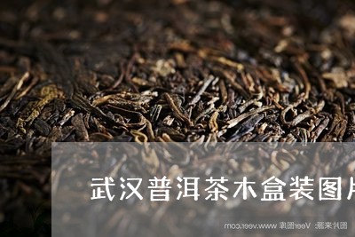 武汉普洱茶木盒装图片及价格/2023052871615