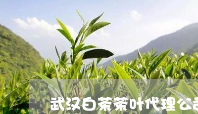 武汉白茶茶叶代理公司/2023100102826