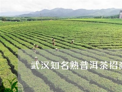 武汉知名熟普洱茶招商/2023092512794