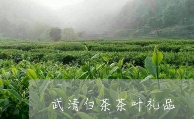 武清白茶茶叶礼品/2023062213626