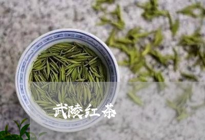 武陵红茶/2023090115146