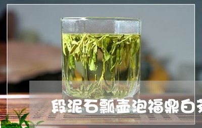 段泥石瓢壶泡福鼎白茶/2023120771917