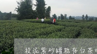 段泥紫砂罐能存白茶吗/2023100177590