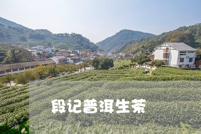 段记普洱生茶/2023090731848