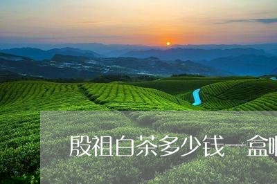 殷祖白茶多少钱一盒啊图片大全/2023111535137