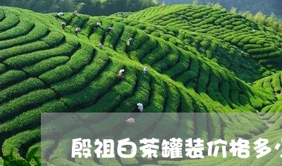 殷祖白茶罐装价格多少/2023100168482