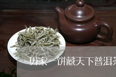 毋家一饼藏天下普洱茶/2023061769604