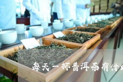 每天一杯普洱茶有什么好处吗/2023121794059