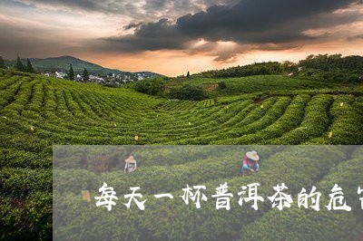 每天一杯普洱茶的危害/2023072255173