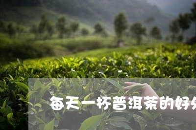 每天一杯普洱茶的好处/2023092651635