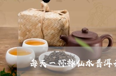 每天一杯神仙水普洱茶/2023092663815